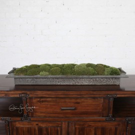Heath Preserved Moss Tray - Black Label Collection
